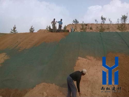 三維植被網http://szfgd.com/